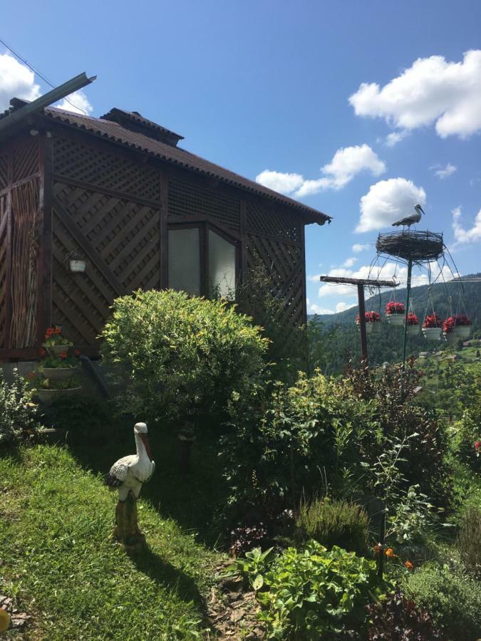 Відпочинок У Пронів Hotel Slavske Exterior photo
